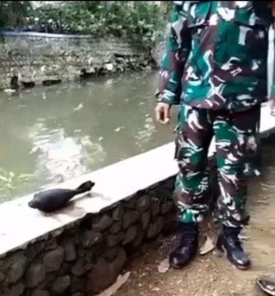Warga Dusun Krajan Geger, Sebuah Mortir Aktif Ditemukan di Dasar Sungai
