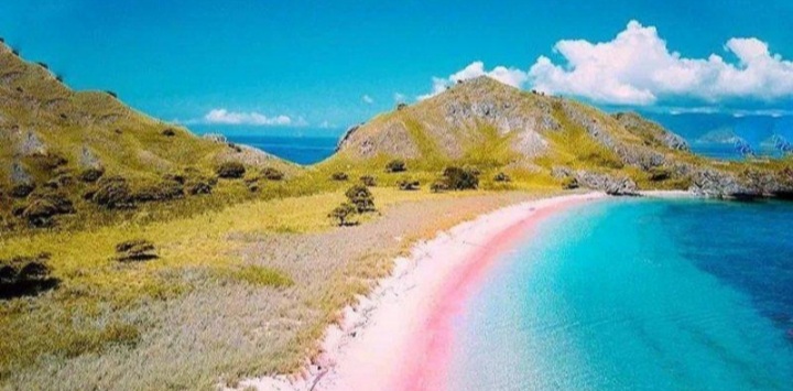 Pink Beach! Pantai Cantik di Pulau Komodo, Bikin Lelah Langsung Hilang