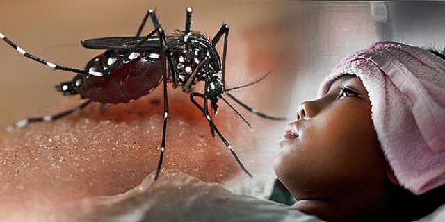 Masuki Musim Penghujan, Waspada Demam Berdarah Dengue