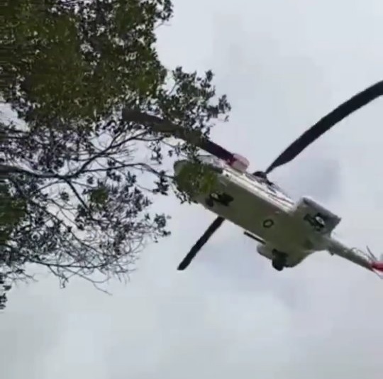 Waduh, 3 Warga Tertimpa Pohon Tumbang Diduga Akibat Helikopter Kepresidenan