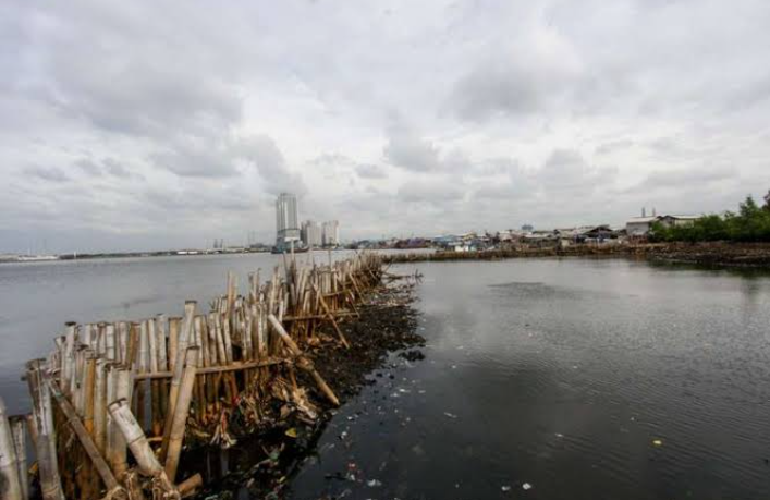 Waduh, Laut Angke di Jakarta Tercemar Paracetamol!