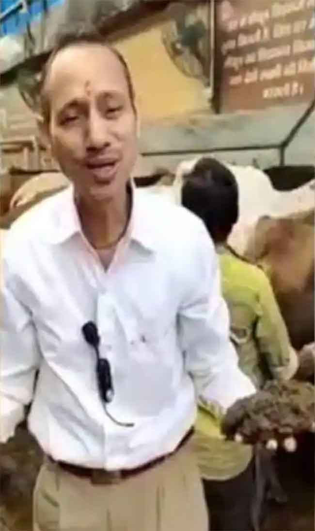 Viral! Dokter di India Makan Kotoran Sapi untuk Kesehatan