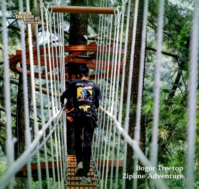 Bogor Treetop Zipline Adventure, Single Cable Zipline Terpanjang di Indonesia