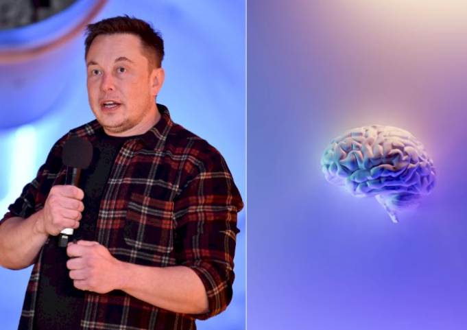 Elon Musk akan Tanam Chip di Otak Manusia Mulai Tahun Depan