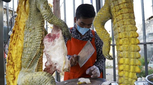 Pemerintah Thailand Dukung Warga Konsumsi Daging Buaya