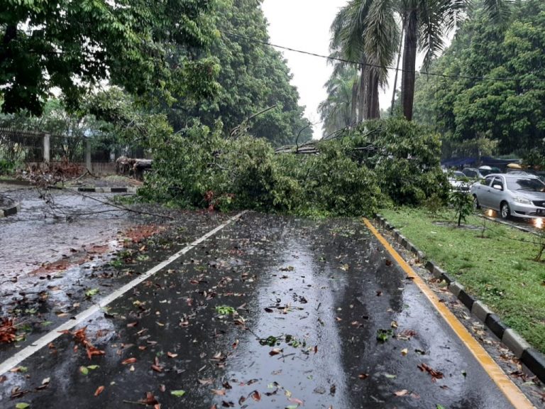 Akibat Hujan Angin Sebabkan Beberapa Kerusakan di Kota Bogor