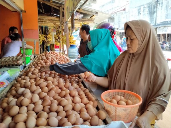 Harga Telur Ayam di Bogor Mulai Turun, Minyak Goreng Masih Mahal
