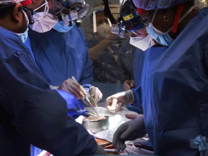 
 Dr. Muhammad Mohiuddin, Pakar Xenotransplantasi - Berhasil Melakukan Transplantasi Organ Binatang ke Manusia, Jadi Kotroversi. (net/Bogordaily.net)
