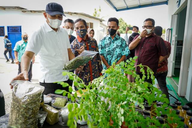 
 Salah satunya industri daun kelor yang dikelola CV Tri Utami Jaya yang memiliki pabrik pengolahan daun kelor berstandar internasional terbesar, pertama dan satu-satunya di NTB.