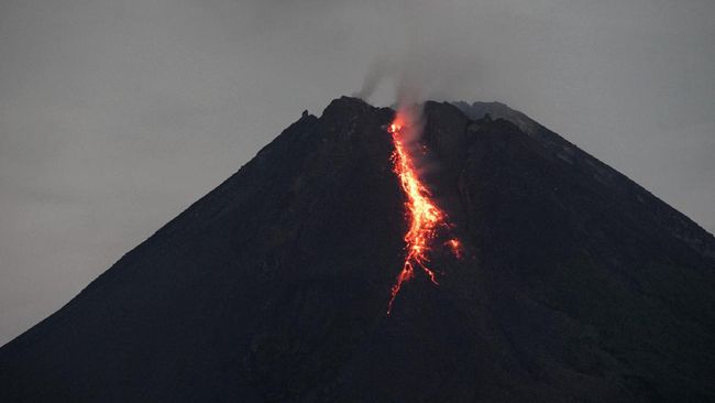 
 Gunung Merapi di perbatasan Daerah Istimewa Yogyakarta dan Jawa Tengah mengeluarkan guguran lava pijar enam kali sejak dini hari hingga pagi ini, Jumat 14 Januari 2022.(CNN/Bogordaily.net)