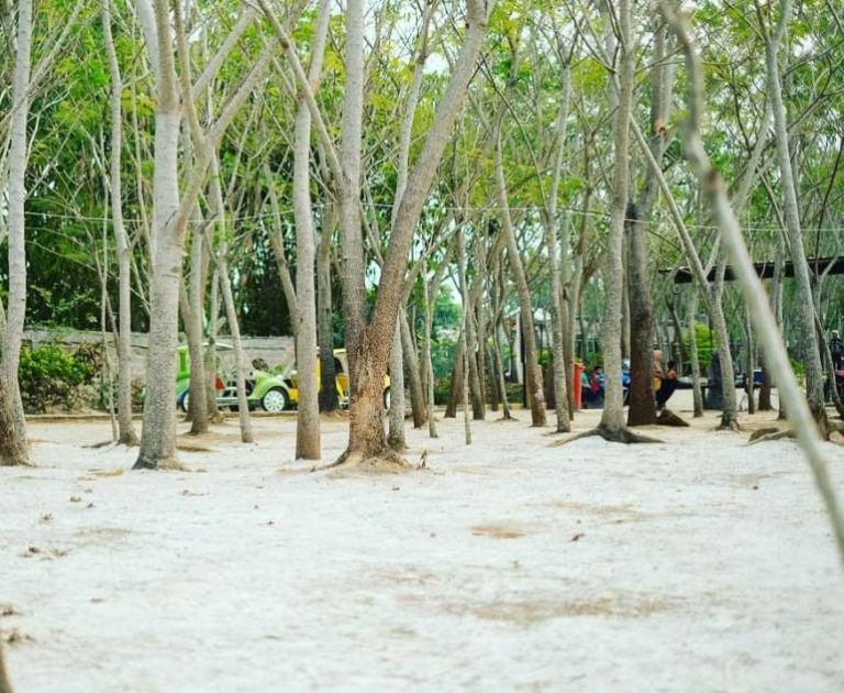 Wisata Alam Pantai Buatan Berpasir Putih, Ada di Bogor