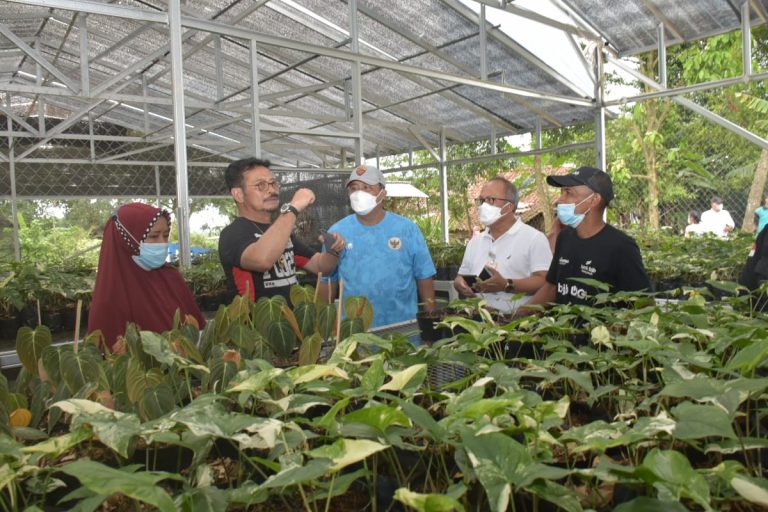 Mentan Syahrul Yasin Limpo, Kunjungi Kampung Flori Bojong Kerta