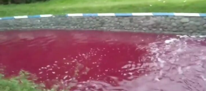 Air Sungai di Jombang Berwarna Merah Darah