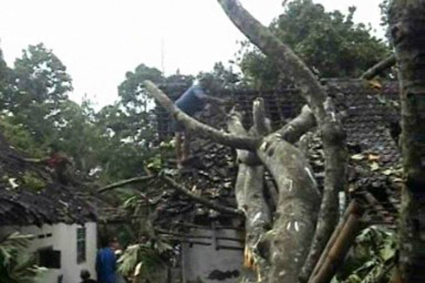 Diterjang Angin Puting Beliung, 51 Bangunan di Banyuwangi Rusak