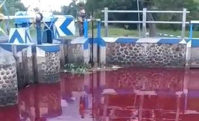 Viral Sungai di Jombang Berwarna Merah Darah, Ini Kata Warganet