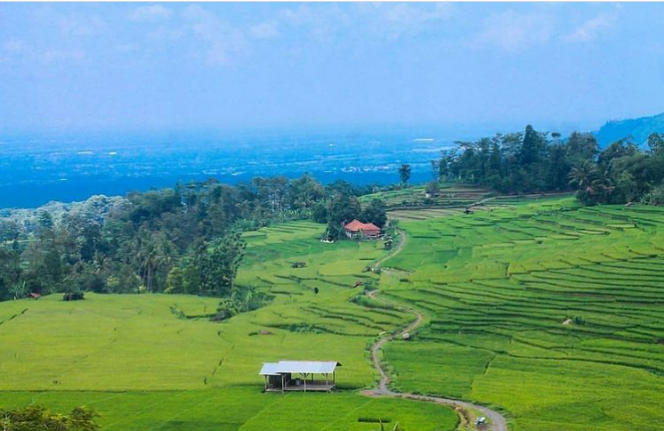 
 Ilustrasi tempat wisata. Desa Wisata Bantaragung di Kabupaten Majalengka, Jawa Barat. (Instagram/visitbantaragung/@muhammad.rully/Bogordaily.net)
