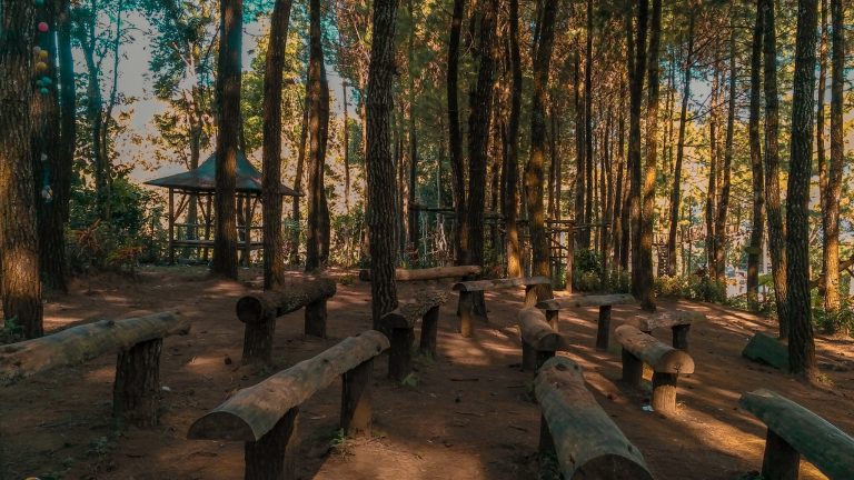 Sumbersuko Forest Park, Wisata Taman Pinus di Kaki Gunung Kawi