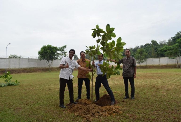 Dukung Pelestarian Lingkungan, Kota Deltamas Gelar Penanaman Pohon di Cikarang Japanese School