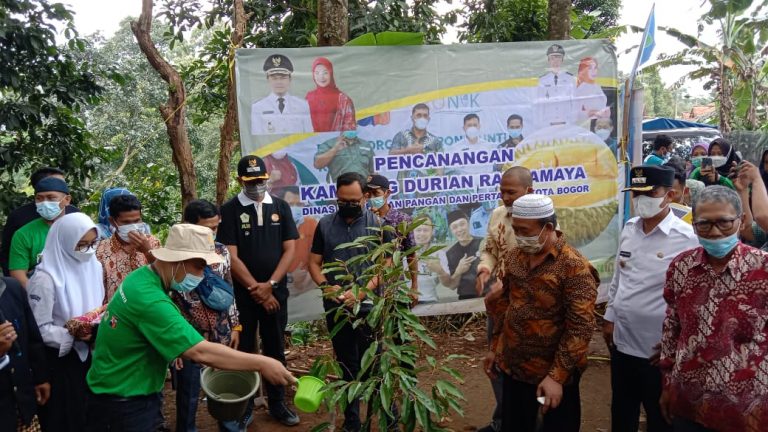 Pemkot Bogor Serius Jadikan Rancamaya Jadi Destinasi Wisata Kampung Durian