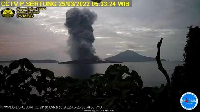 
 Gunung Anak Krakatau yang meletus hari ini, Jumat 25 Maret 2022.(Detik/Bogordaily.net)
