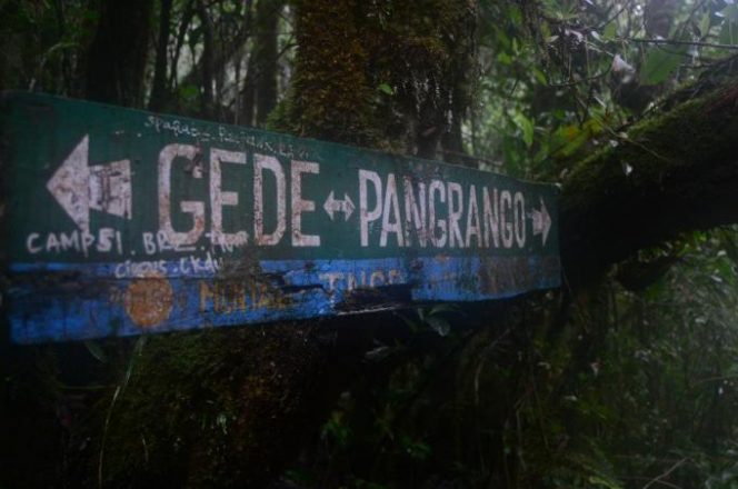 
 Gunung Gede.(Hipwee/Bogordaily.net)