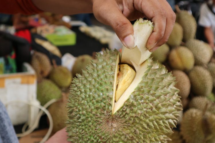 sertifikasi durian malaysia