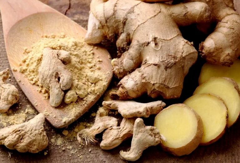 Selain Jadi Bumbu Masak, Kenali 4 Manfaat Kencur untuk Kesehatan