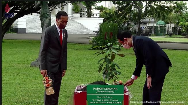 Di Istana Bogor, Jokowi Ajak PM Jepang Menanam Pohon