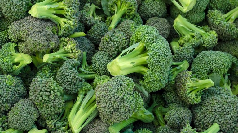 Jarang Diketahui, Ini 4 Efek Samping dari Brokoli Hijau jika Dikonsumsi Setiap Hari