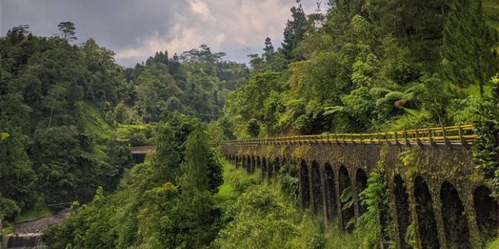 Viral Jembatan yang Digunakan Syuting KKN di Desa Penari, Bukan di Banyuwangi