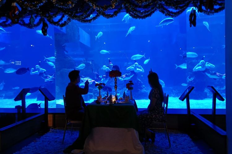 Harga Tiket Masuk Jakarta Aquarium dan Safari, Aquarium Indoor Terbesar di Indonesia