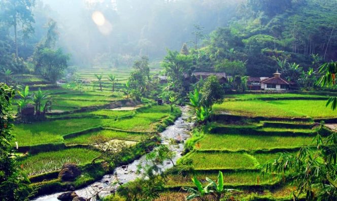 
 Wisata Alam di Desa Malasari Bogor. (goodnews/Bogordaily.net)