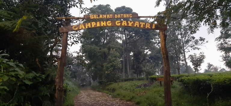 Wisatawan Tewas Tersambar Petir, Camat Cisarua : Gayatri Camp Bogor Ditutup