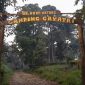 Camp Gayatri berloaksi di Kampung Citeko, Desa Citeko, Kecamatan Cisarua, Kabupaten Bogor. Lokasi ini menjadi tempat remaja wanita tewas tersambar petir, Sabtu, 14 Mei 2022 sore. (Irfan/Bogordaily.net)