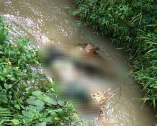 
 Mayat berjenis kelamin laki-laki ditemukan mengambang di Kali Cimenyan, Desa Sukadamai, Kecamatan Sukamakmur, Kabupaten Bogor, Senin, 16 Mei 2022. (Istimewa/Bogordaily.net) 