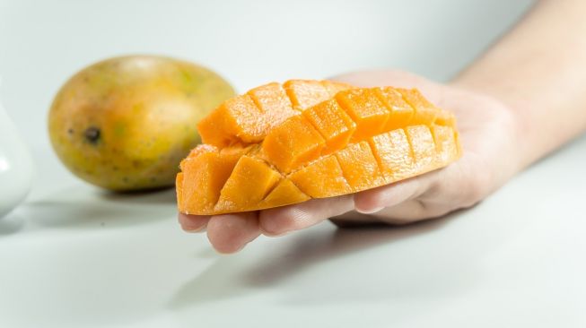 
 Ilustrasi buah mangga. (Pixabay/Fathima Shanas/Suara.com/Bogordaily.net)