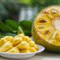Manfaat buah nangka