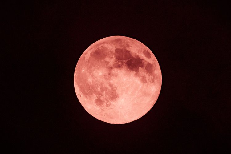 Besok! Fenomena Strawberry Moon Muncul di Indonesia, Bisa Dilihat Tanpa Alat