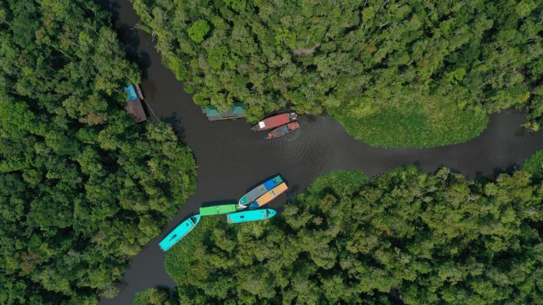 Sungai Sekonyer, Amazone KW di Indonesia 