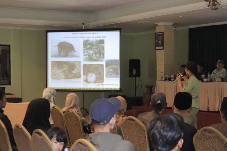 Pencegahan Virus PMK di Taman Safari Indonesia