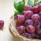 buah yang boleh dimakan saat tipes