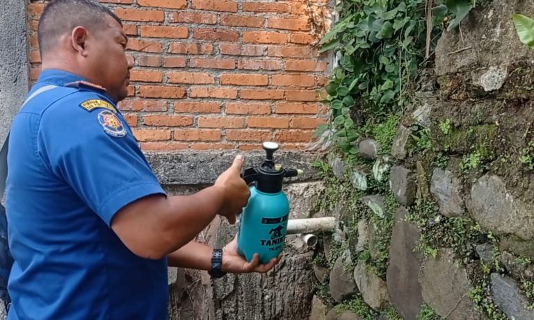 Damkar Kota Bogor Gagal Evakuasi Ular Welang di Perumahan Pabaton, Ini Alasannya