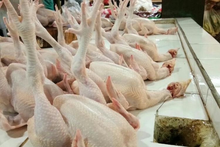 Cek! Harga Daging Ayam di Pasar Cibinong Bogor Naik