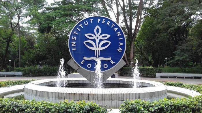Mau Kuliah di Bogor? Ini 4 Universitas Terbaik yang Ada di Bogor