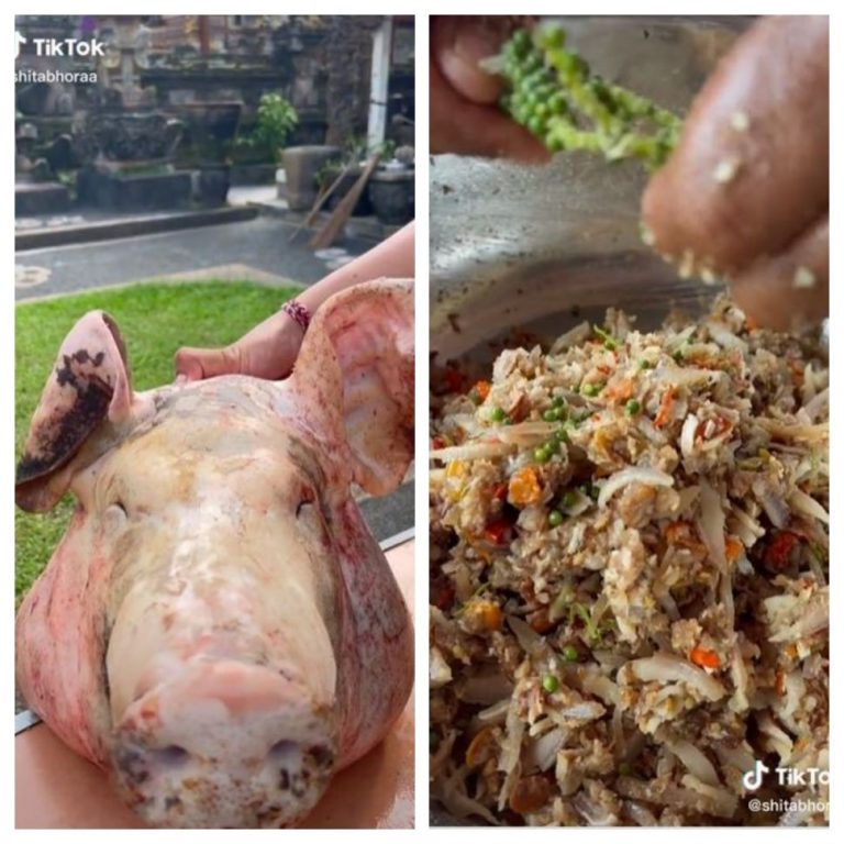 Heboh ‘Babiambo’, Kini Viral Lawar Plek Masakan Khas Bali dari Kepala Babi