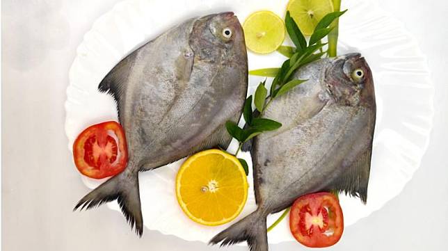 Selain Rasanya yang Enak, Berikut Manfaat Ikan Bawal Bagi Kesehatan Tubuh