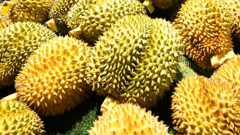 Selain Baunya yang Khas, Berikut Manfaat Buah Durian Bagi Kesehatan