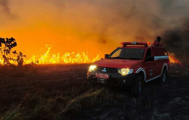 Kebakaran Hutan di Perbatasan Jerman-Ceko Hancurkan Taman Nasional