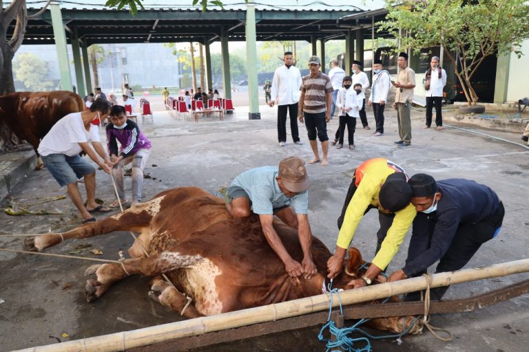 Menag Usul Soal Kurban Lewat BAZNAS Picu Pro Kontra
