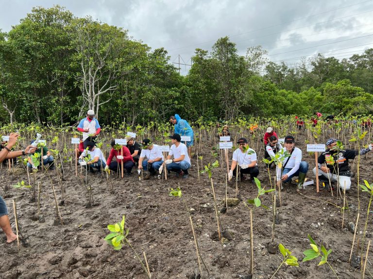HUT ke-66 Danamon, Ajak Karyawan Bersinergi Kurangi Emisi Karbon Melalui 10.000 Mangrove